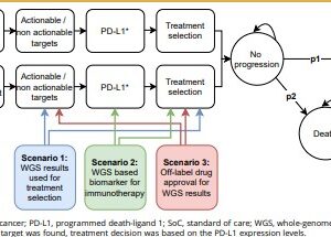 Cost-Effectiveness and Budget Impact Model of Future Developments With Whole-Genome Sequencing for Lung Cancer Patients