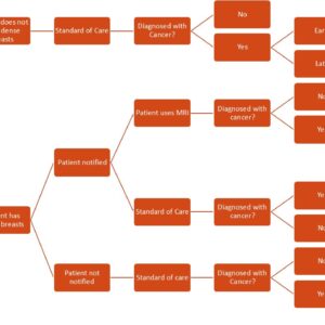 Breast density notification with adjunctive digital breast tomosynthesis (DBT): A cost-effectiveness analysis