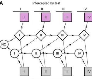 Modeled Reductions in Late-stage Cancer with a Multi-Cancer Early Detection Test