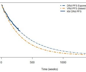 Modeling First-Line Daratumumab Use for Newly Diagnosed, Transplant-Ineligible, Multiple Myeloma: A Cost-Effectiveness and Risk Analysis for Healthcare Payers