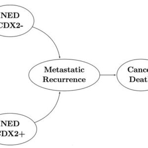 CDX2 biomarker testing and adjuvant therapy for stage II colon cancer: An exploratory cost-effectiveness analysis