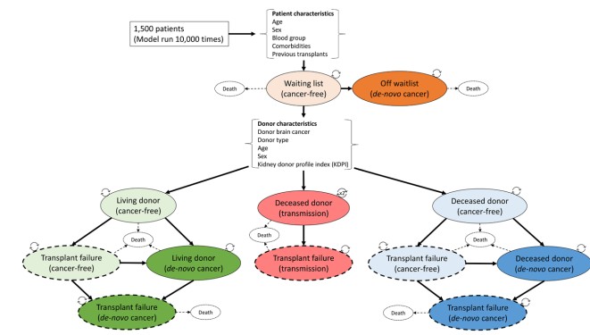 Utilization of Kidneys From Deceased Donors With Primary Brain Malignancy in an Australian Setting